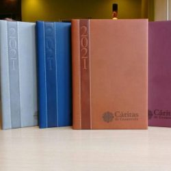 Agendas ejecutivas agendas ejecutivas